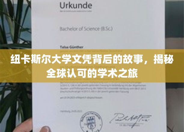 探寻纽卡斯尔大学文凭的全球影响力，一次跨越国界的学术传奇