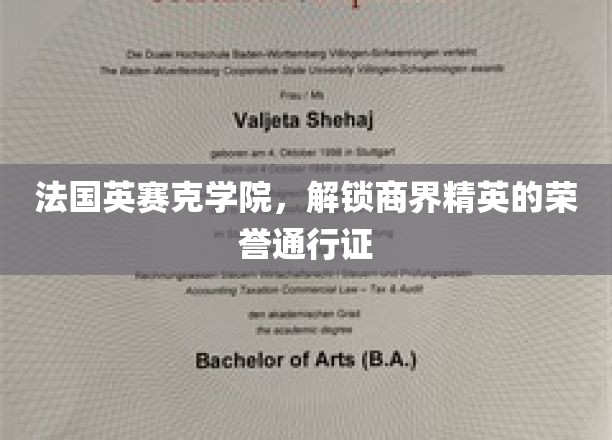 商界荣耀之门，法国英赛克学院颁发精英通行证