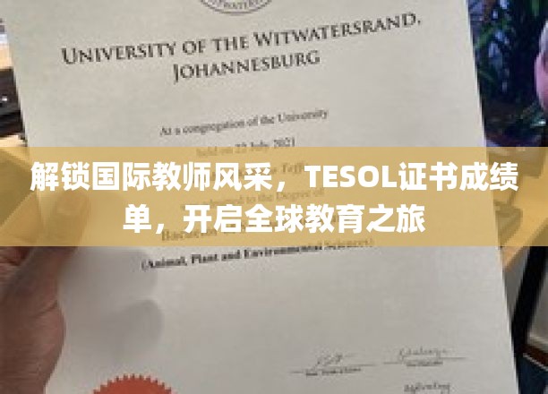 跨国教育通行证，TESOL证书成就你的世界教育梦想