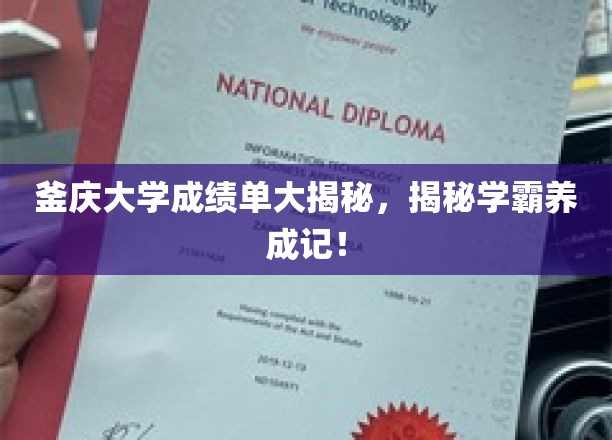 釜庆学霸养成记，成绩单背后的秘密大公开！