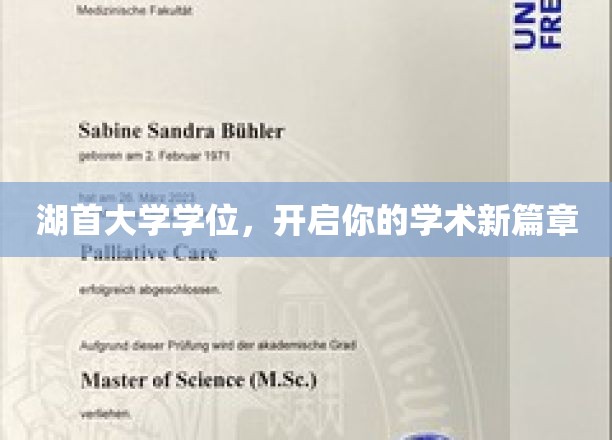 湖首大学学位钥匙，解锁学术梦想新境界