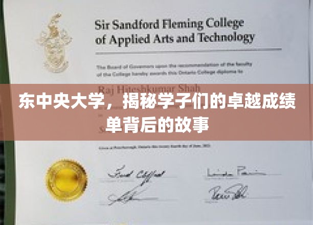 东中央学子闪耀，揭开卓越成绩背后的青春足迹