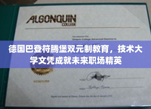 德国巴登-符腾堡双元制教育，技术大学文凭助力未来职场精英