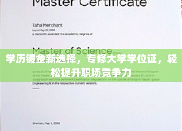 轻松跨入职场精英行列，专修学位证助力学历镀金