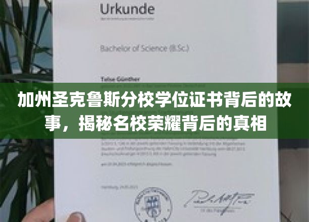 加州圣克鲁斯分校学位之谜，揭开名校光环下的真实轨迹