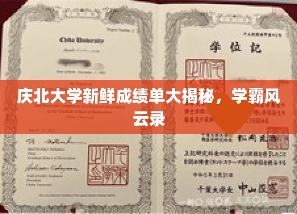 庆北学子荣耀榜，学霸风云，成绩单背后的秘密揭晓