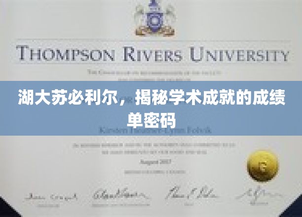 湖大苏必利尔，解码学术成就的成绩单奥秘