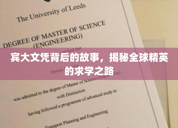 解码宾大荣耀，探寻世界精英教育背后的非凡旅程
