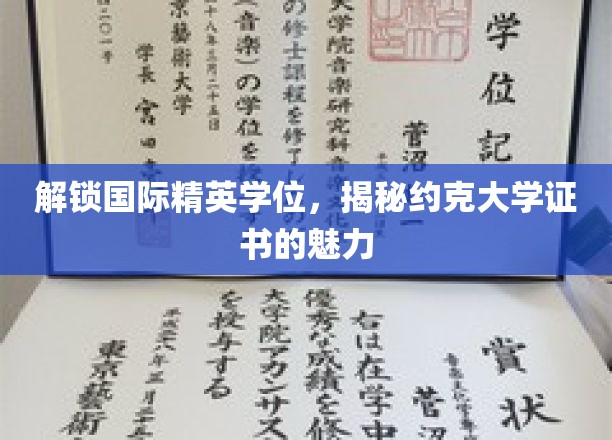 跨越国界，探索约克大学证书的全球精英价值