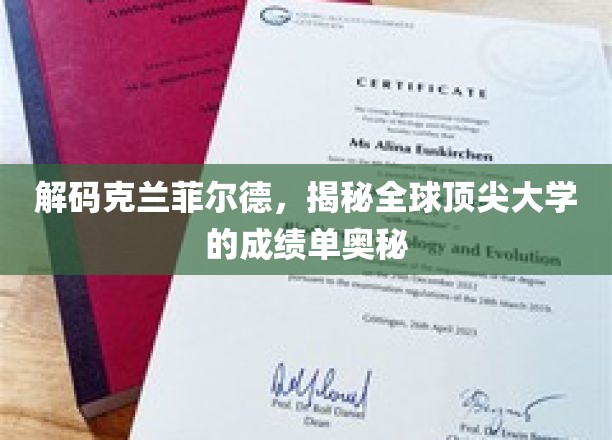 克兰菲尔德，全球名校成绩单背后的惊人真相