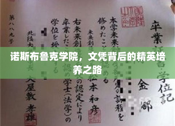 解码诺斯布鲁克，精英摇篮的文凭成长轨迹