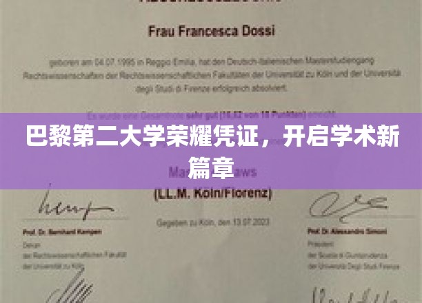 巴黎二大卓越证书，铸就学术启航之门