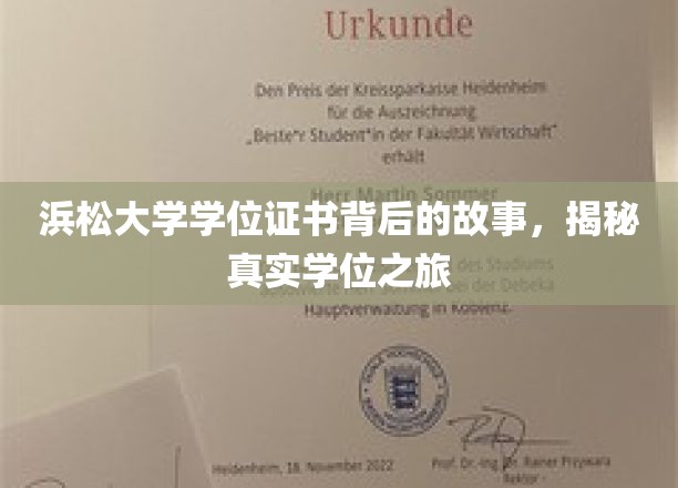 学位证书背后的传奇，浜松大学揭秘真实学历历程