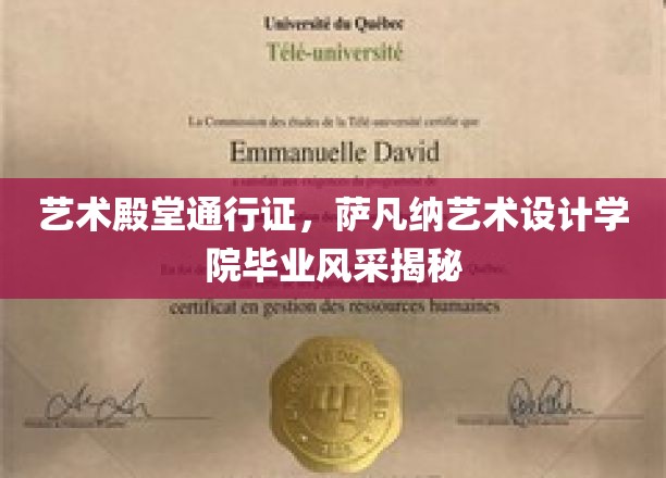 艺术殿堂通行证，萨凡纳艺术设计学院毕业风采揭秘