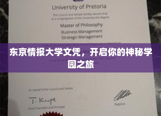 神秘学园启程，揭秘东京情报大学背后的传奇世界