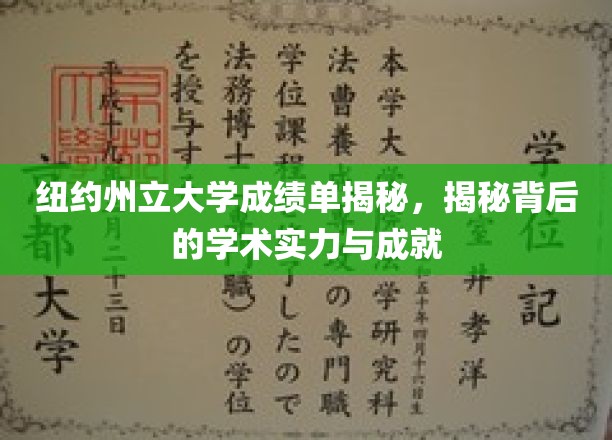 解码纽约州立大学，探寻其卓越学术成就的秘密面纱