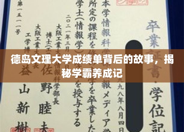 德岛文理大学学霸养成记，揭秘成绩单背后的奋斗传奇