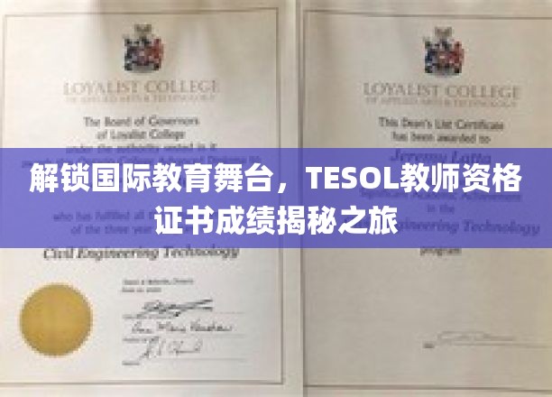 解锁国际教育舞台，TESOL教师资格证书成绩揭秘之旅