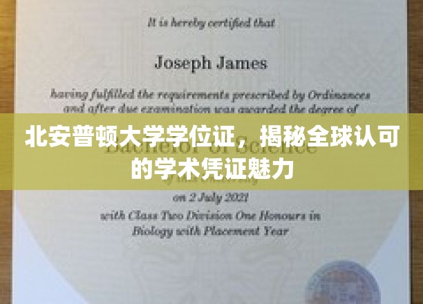 北安普顿大学学位证，揭秘全球认可的学术凭证魅力