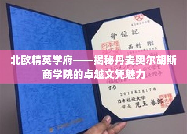丹麦奥尔胡斯商学院，北欧精英摇篮中的卓越文凭魅力探寻