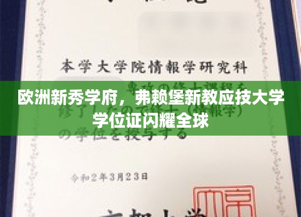 弗赖堡新教应技大学，欧洲新锐学府，国际学位证的光辉之旅