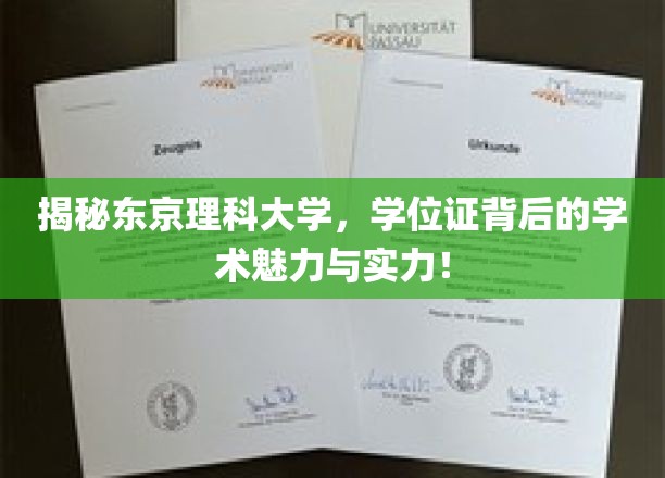 探寻东京理科大学，学位证背后的学术风采与卓越实力