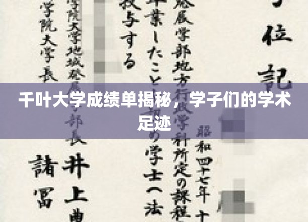 千叶大学成绩单揭秘，学子们的学术足迹