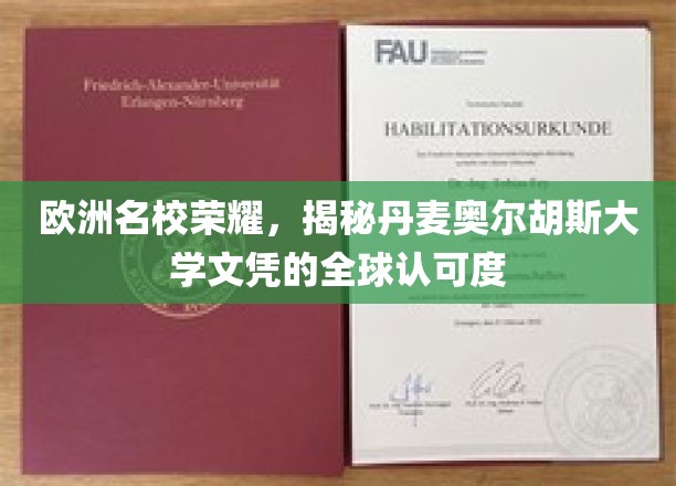 欧洲教育之光，丹麦奥尔胡斯大学文凭的国际魅力与认可度探秘