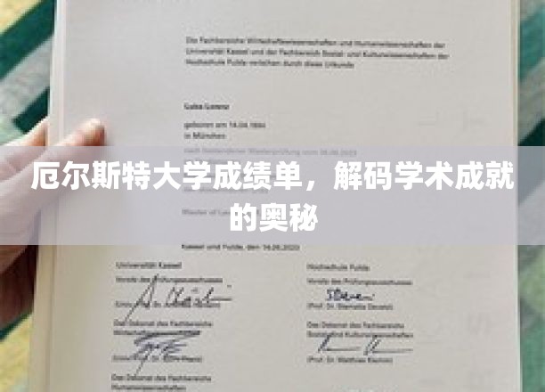 揭开厄尔斯特大学成绩单背后的学术传奇