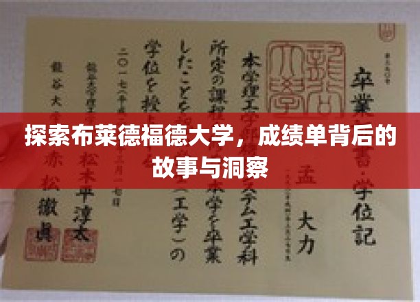 探索布莱德福德大学，成绩单背后的故事与洞察
