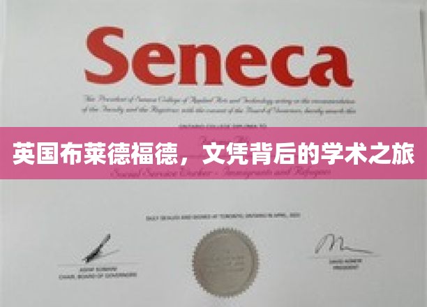穿越文凭，布莱德福德学子探寻学术奥秘之旅