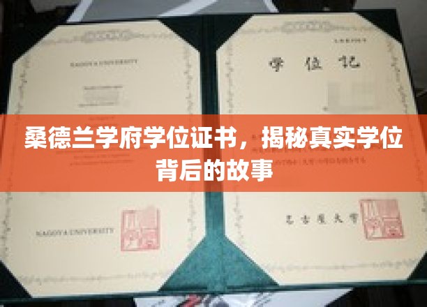桑德兰学府学位证书，揭秘真实学位背后的故事