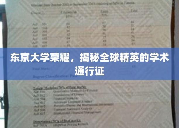 解码东京大学，全球精英的学术护照之路
