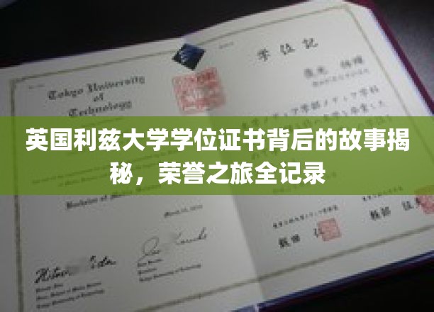 英国利兹大学学位证书背后的故事揭秘，荣誉之旅全记录