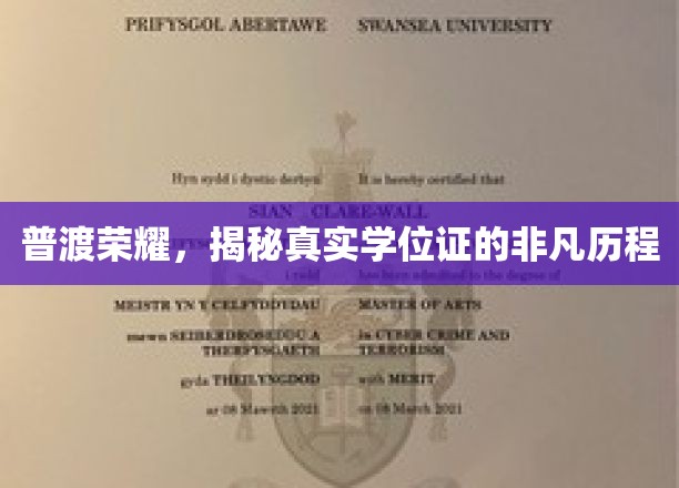 探寻学位证背后的荣耀之旅，真实学历证书的非凡溯源