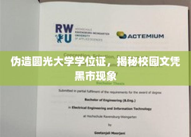 校园文凭黑市揭秘，伪造学位证背后的圆光大学风云