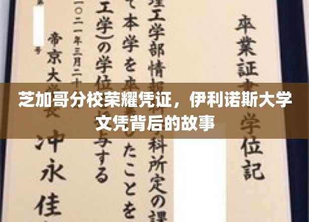 芝加哥分校荣耀凭证,伊利诺伊大学文凭背后的故事