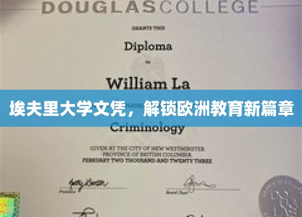 埃夫里大学文凭，开启欧洲教育新篇章