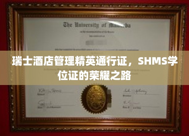 瑞士酒店管理翘楚之路，SHMS学位证的璀璨启航