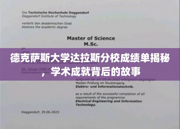 德克萨斯大学达拉斯分校成绩单揭秘，学术成就背后的故事