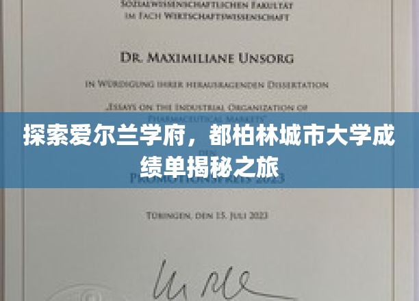 揭开都柏林城市大学神秘面纱，成绩单背后的故事