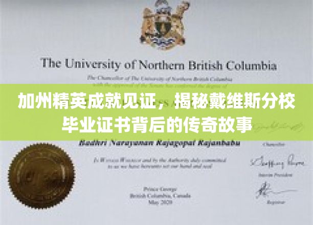 戴维斯精英风采，探寻加州戴维斯分校证书背后的辉煌传奇