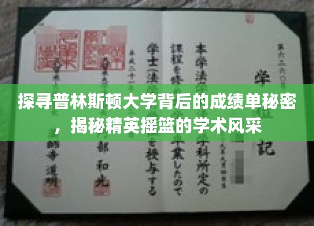 解码普林斯顿精英学府，揭秘其卓越学术成就背后的神秘力量