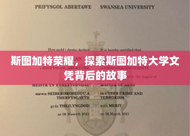 解码斯图加特大学，荣耀背后的学术传奇