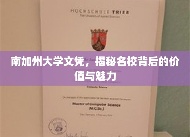 解码南加大，名校文凭背后的非凡价值与迷人风采