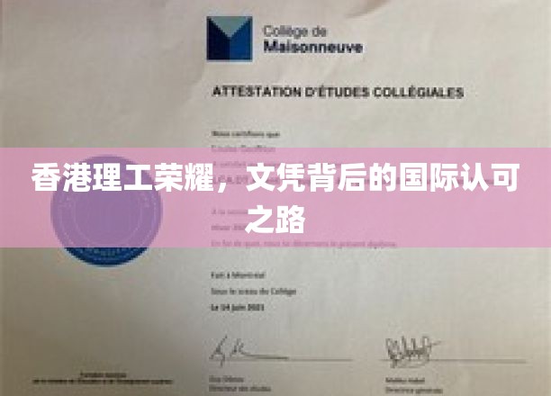 香港理工璀璨，揭秘国际文凭的荣耀征程