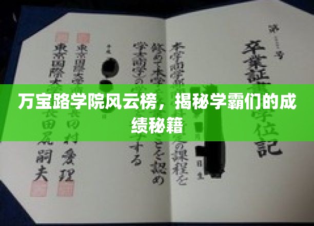 万宝路学院风云榜，揭秘学霸们的成绩秘籍