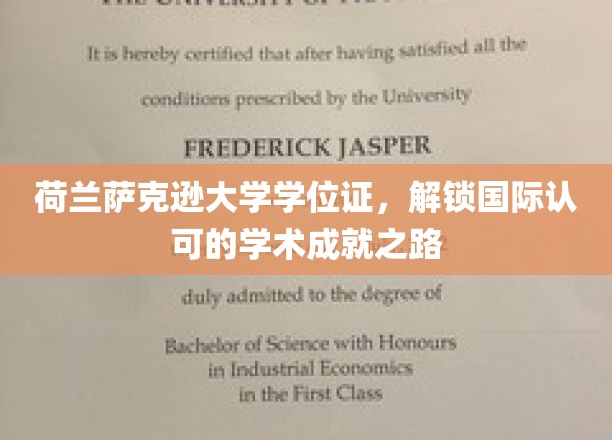 荷兰萨克逊大学学位证，解锁国际认可的学术成就之路