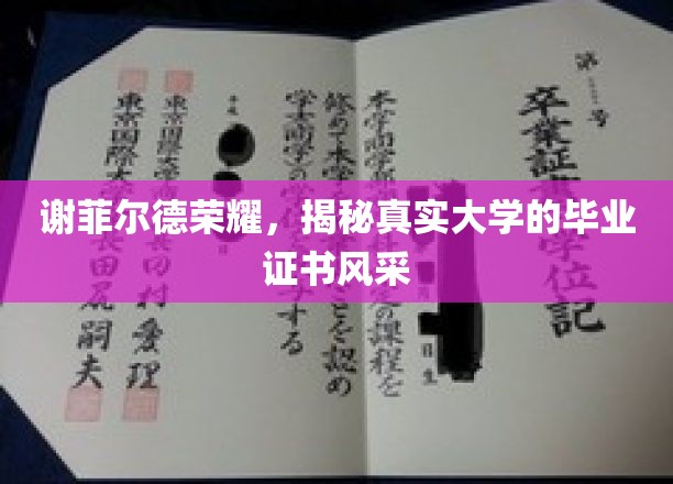 谢菲尔德荣耀，揭秘真实大学的毕业证书风采