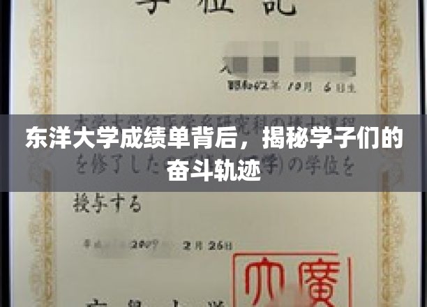 东洋大学成绩单，一纸背后，学子奋斗之路全景图